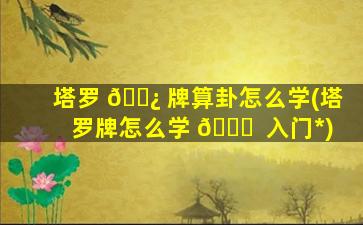 塔罗 🌿 牌算卦怎么学(塔罗牌怎么学 🐋  入门*
)